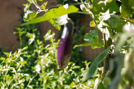 Yiyueju · Poye Yinlu Отели рядом с достопримечательностью «Taihecheng Relic Site»