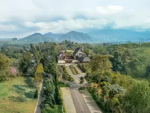 Top 20 Premium Hotels in West Java