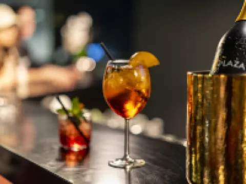 PLAZA INN Graz City Hotels in Graz