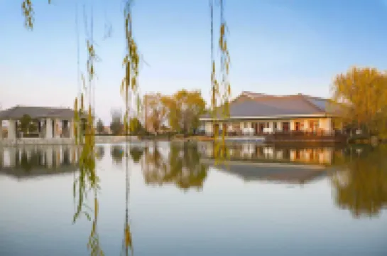 鹿邑老子學院接待中心