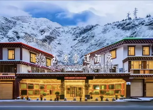 Yujing Saussurea Boutique Hotel - Gym