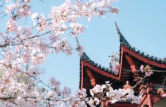 鹽湖城大洋灣頤和湖畔飯店