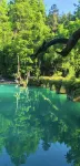 荔波·瀾嶼樟江DUSKHAVEN|設計師智能影音民宿（荔波古鎮店） - 山景