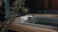Moshi Shentang · Solace | Hot Spring Private Courtyard (Moshi Park) - Hot Springs