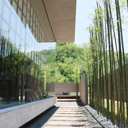 SilentSpaceHomestay·zhujiajian store