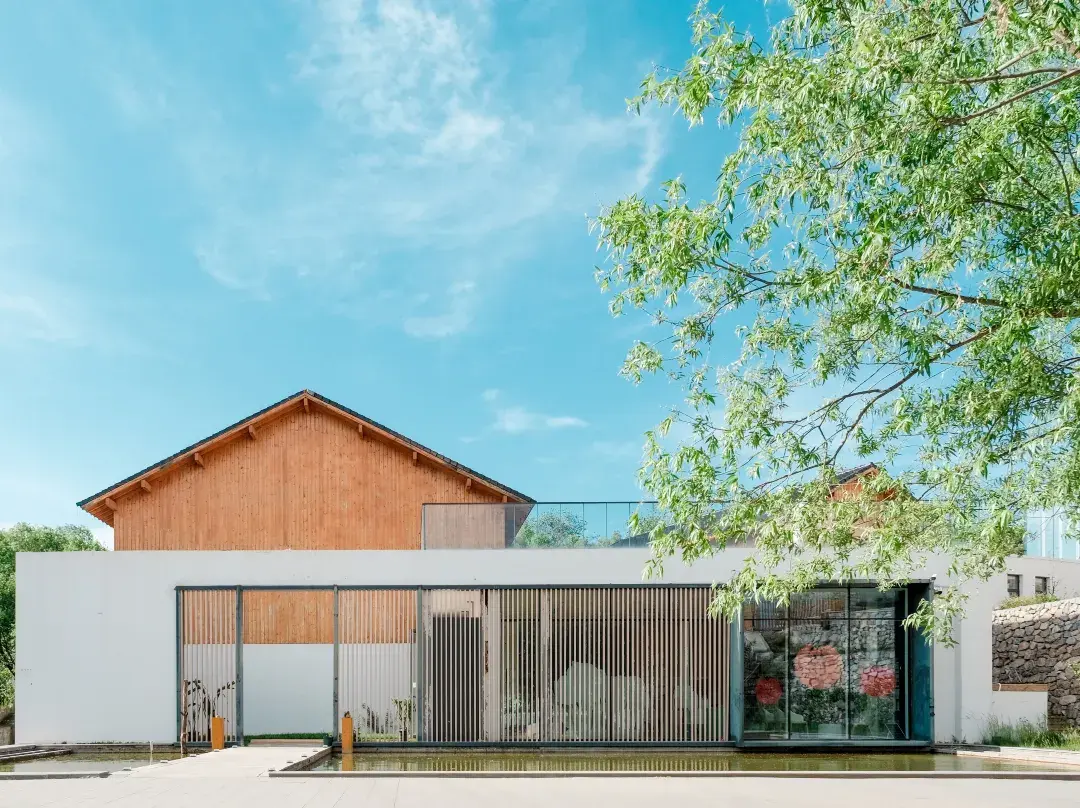 Beijing Catree B&b - Pekin