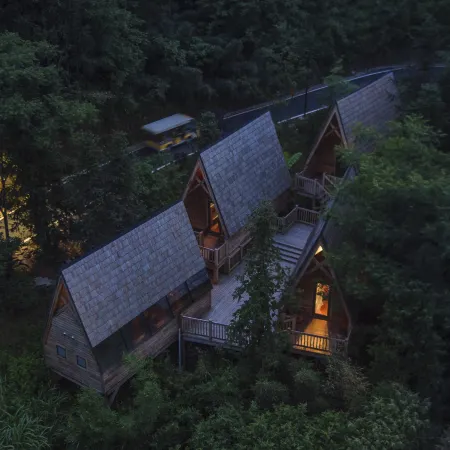 Ziyoujia · Tree house World