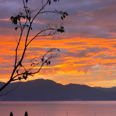Fuxian Lake Shanyuhai Homestay (Chengjiang Sun Mountain Branch)