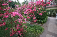 Meiquan Health Hotel (Baoting Yanoda Branch) Отели рядом с достопримечательностью «Силиконовая долина»