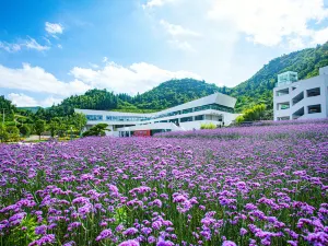 Youyang Starry Sky·Yuejianli