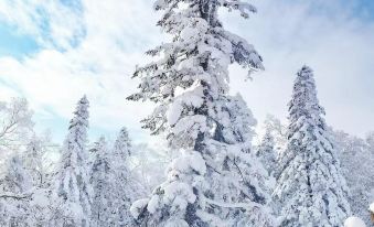 Xuegu Dingzihan Shishang Guest House