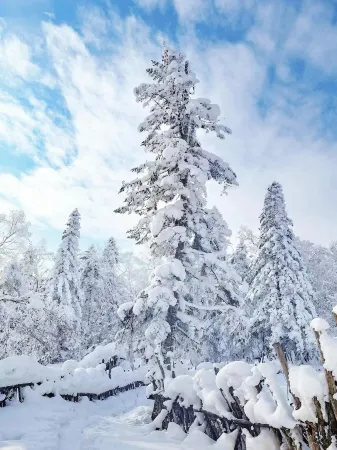 Xuegu Dingzihan Shishang Guest House Отели рядом с достопримечательностью «Snow Valley»