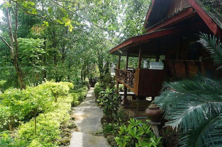 รูปภาพของไร่เอ๋ยฝุ่น