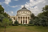 Rainforest Studio Downtown by Pretty Apartments