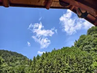 Manju Sattva Healing Resort - Mountain View