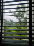 Guansu Homestay (Ninghua Guangyansi) - วิว