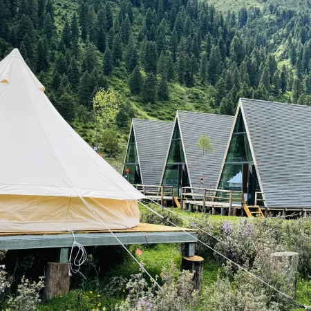 Mile Wild Luxury Homestay