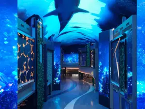 Popular Instagrammable Hotels in Incheon