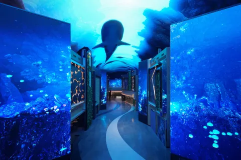 INSPIRE Entertainment Resort