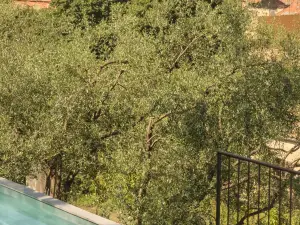 ニースの高級ホテル・トップ10