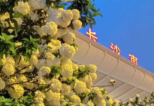 호텔 부대시설 1