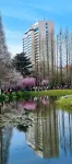 Qingdao Huanghai Hotel - غرفة مطلة على الجبل