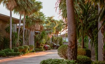 Blue River Resort