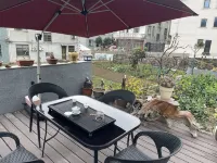 Qingheli Homestay (Tiantai Mountain Guoqing Scenic Area) - เปิดใหม่