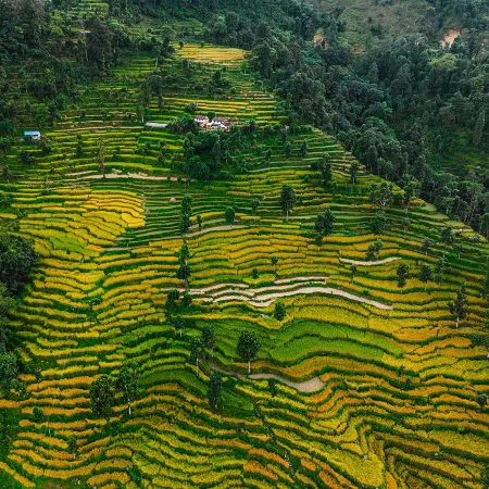 Barang Village Community Homestay