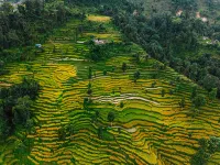 Barang Village Community Homestay - 2-Star