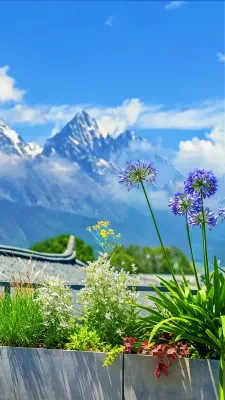 37 Courtyard｜Panorama Jade Dragon Mountain Heritage Art Lodge（Baisha Ancient Town） - WiFi
