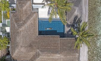 a man is swimming in a pool surrounded by palm trees , creating a serene and tropical atmosphere at Naladhu Private Island