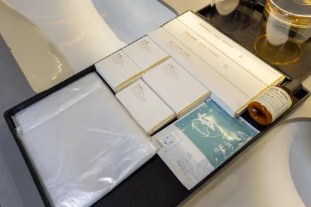 Jiu jian tang · Yin su (Luoshi Temple Cultural Square)