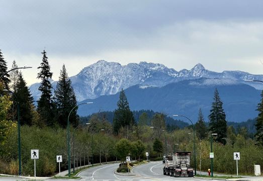 Derbyshire House Garden