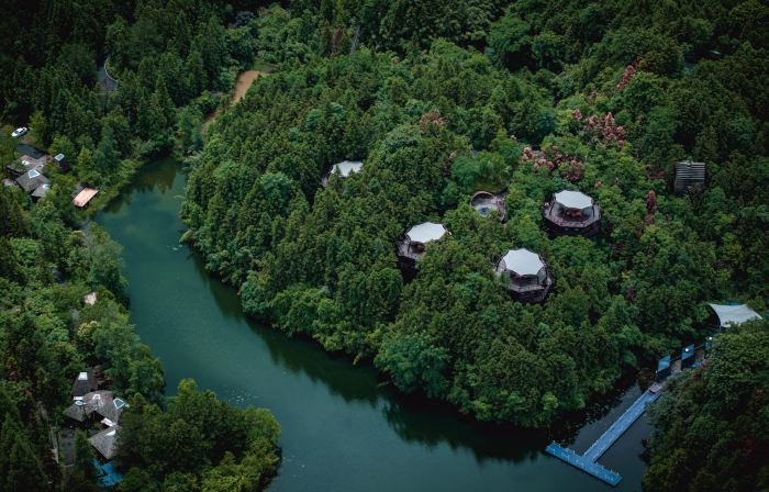 Ziyoujia · Tree house World