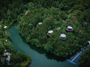齊雲山自由家·樹屋世界