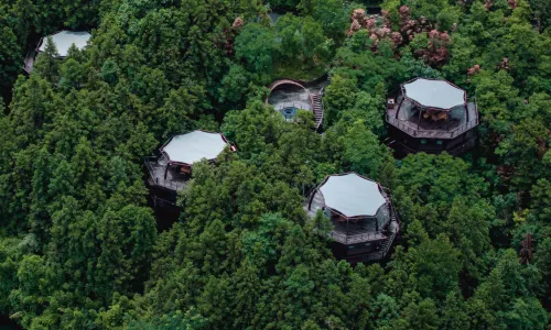 Ziyoujia · Tree house World