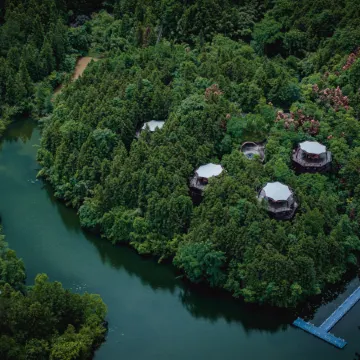 Ziyoujia · Tree house World