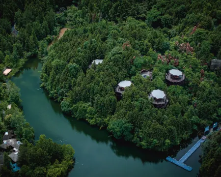 Ziyoujia · Tree house World Hotels in Xiuning