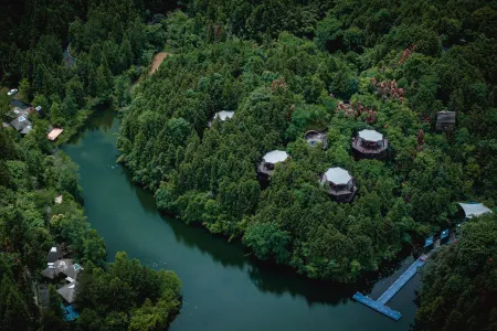 Ziyoujia · Tree house World Отели рядом с достопримечательностью «Huangshan Panda Ecological Paradise»