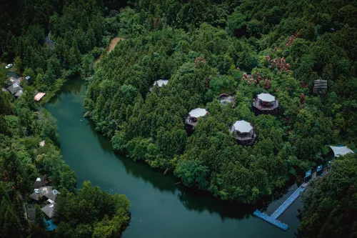 Ziyoujia · Tree house World