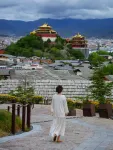Shangri-La LAN YU plateau section hotel（DUKEZONG  Old Town） - Romantic