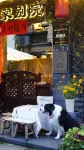 리수이 구옌화샹 쉬자별원 카페이 홈스테이 Nanming Gate 주변 호텔