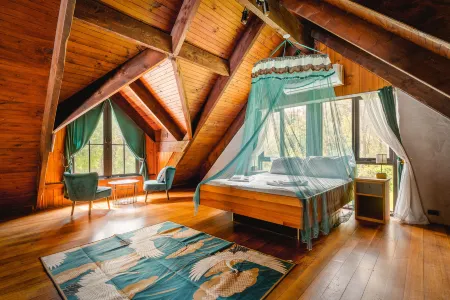 Sun-Kissed Forest Garden