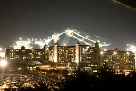 Wellihilli Park Resort Отели рядом с достопримечательностью «Hoengseong Welli Hilli Park Ski Resort»