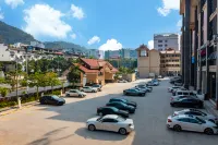Borrman Hotel (Pingxiang Youyiguan Avenue Government Service Center) - parking