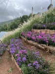 Bamboo House-Banwen Các khách sạn ở Huyện Bo Kluea