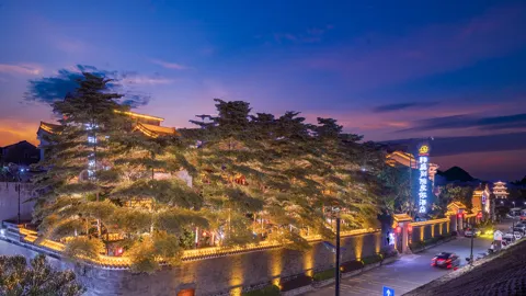 Mơ Thấy Trâu Là Điều Tiềm Thức Muốn Nhắn Gửi Cho quý khách - Bí Ẩn Đằng Sau Giấc Mơ Chiêm Bao Về Trâu