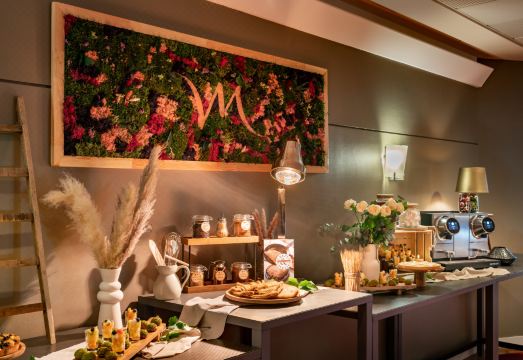 Mercure Paris CDG Airport & Convention HotelOver view