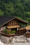 Under the Tree Art Hot Spring Homestay